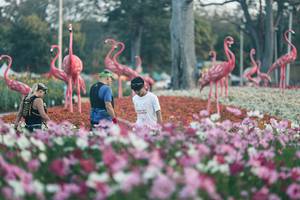 BIB: 
                            <button type="button" onclick="openModal(27344010)" class="btn btn-primary btn-sm float-right btn-popup" data-toggle="modal" data-target=".modal-high-quality">
                        <i class="fas fa-shopping-cart"></i> Add to Cart
                    </button>
                                            <button type="button" onclick="isThisMe(27344010, true)" class="btn btn-success btn-sm float-right btn-popup btn-isme hidden" data-toggle="tooltip" data-placement="bottom" title="นี่คือรูปของคุณใช่ไหม คลิกที่นี่เพื่อเอาเข้าอัลบั้ม">
                        <i class="fas fa-plus"></i> Add to album
                    </button>
                    <button type="button" onclick="isThisMe(27344010, false)" class="btn btn-warning btn-sm float-right btn-popup btn-isnotme hidden">
                        <i class="fas fa-ban"></i> Remove from album
                    </button>